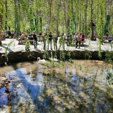 Katarina 5 By Interhome 布罗达里卡